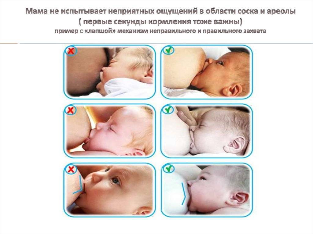 Лекарства, которые можно пить кормящей маме