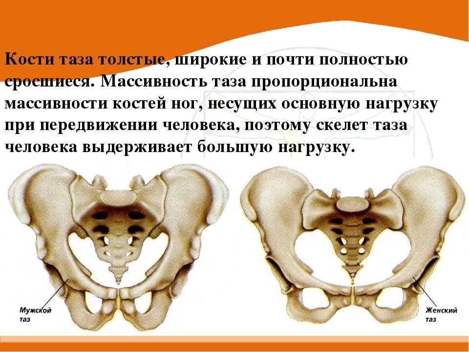 ᐉ каком сроке беременности расходятся кости таза. симптомы и лечение симфизита при беременности - ➡ sp-kupavna.ru