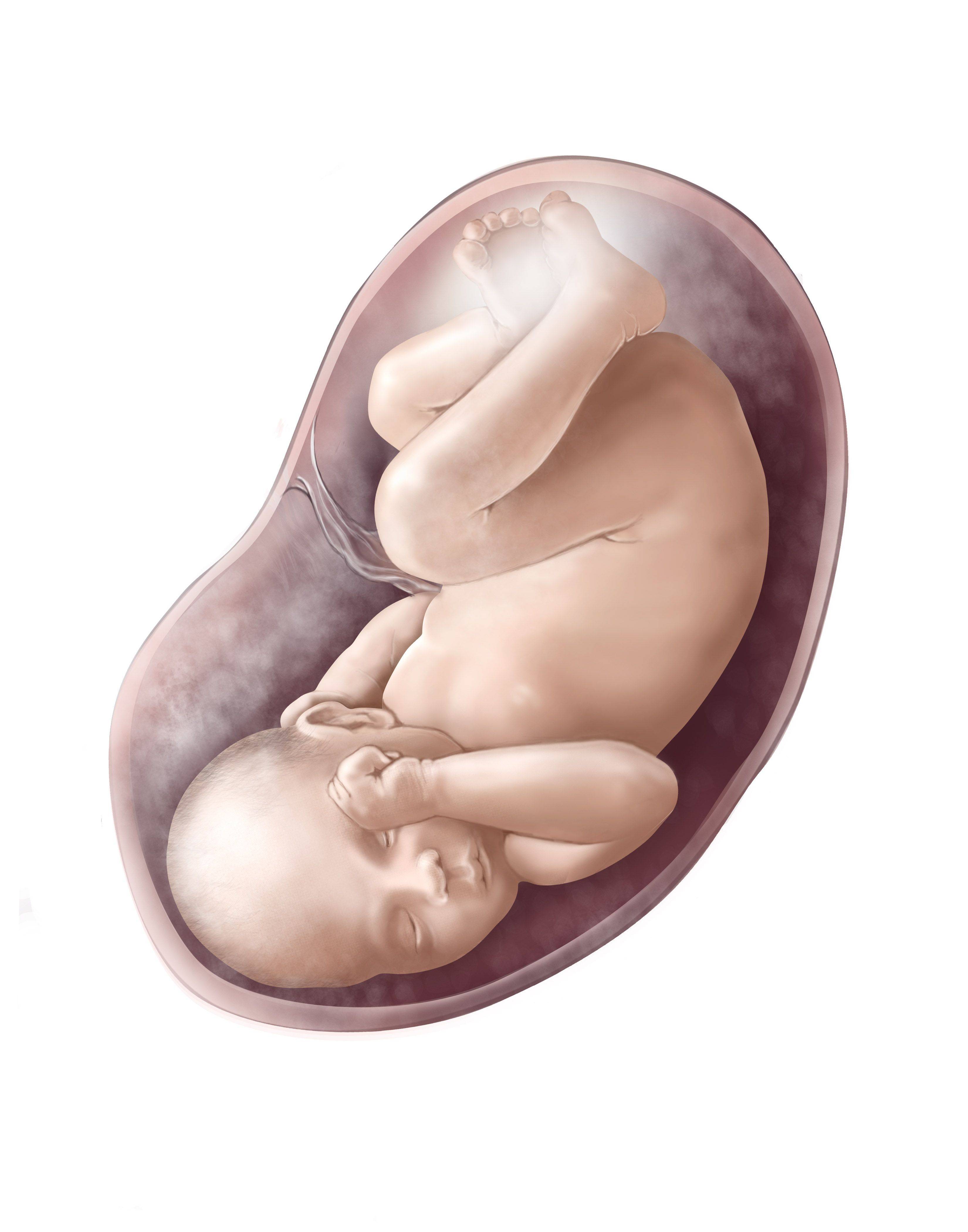 Беременность 40 неделя первые роды