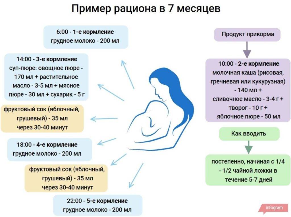 Питание ребенка в 7 месяцев - схема питания и рекомендации по расширению рациона