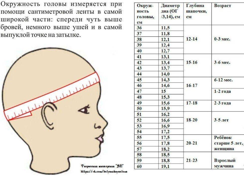Показатели возрастных, индивидуальных и половых особенностей изменения антропометрических параметров головы ребенка школьного возраста