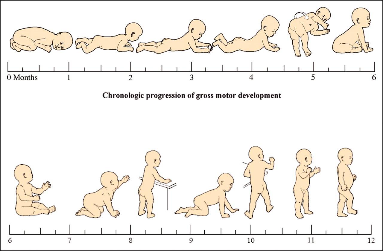 Особенности развития ребенка по месяцам до года и таблица роста и веса, что должен уметь делать