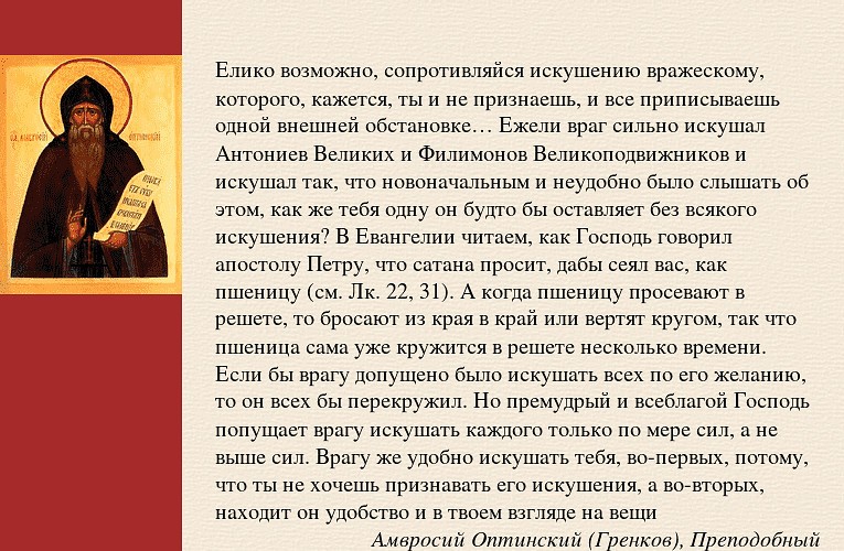Манифест многодетной матери: почему дети
