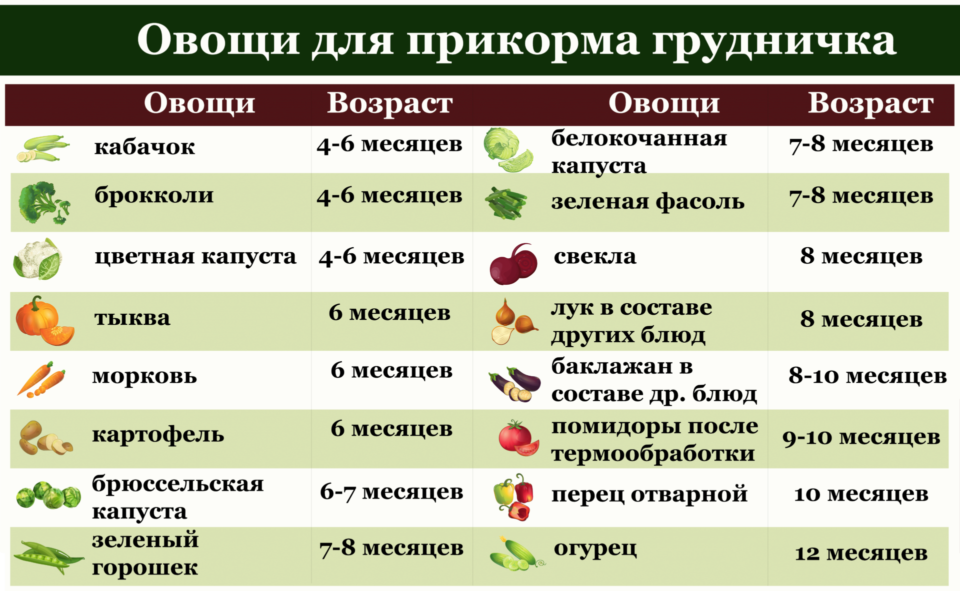 Овощной прикорм в 4. Прикорм овощи. Овощи для первого прикорма. Очередность ввода овощей в прикорм. Порядок введения овощей в прикорм.