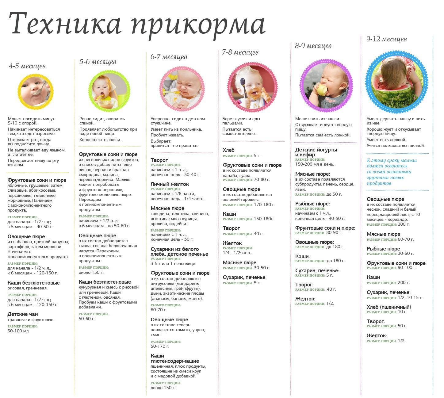 Питание ребенка в 7 месяцев - схема питания и рекомендации по расширению рациона