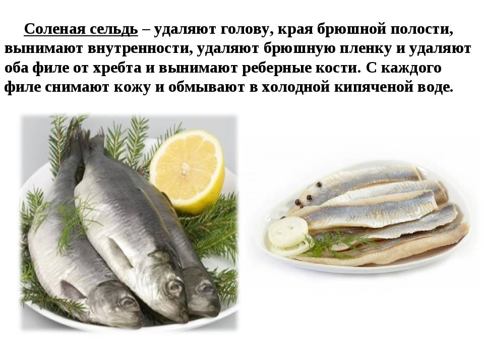 Какую рыбу можно кормящей маме при гв: сорта речной и морской, рыбные блюда