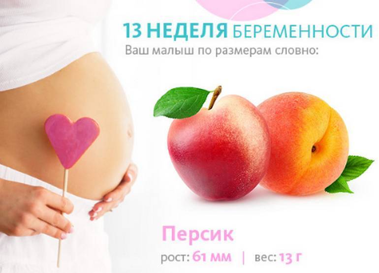 13 неделя беременности: подробности и рекомендации | уроки для мам