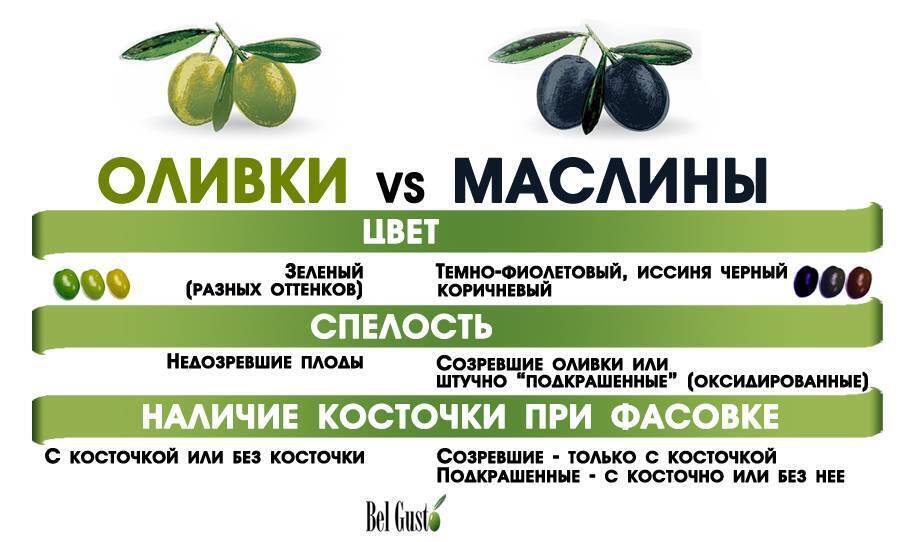 Оливки и маслины при грудном вскармливании. разрешён ли кормящей маме салат оливье? чем можно заменить вредные ингредиенты? рецепты альтернативных салатов можно ли кормящей маслины