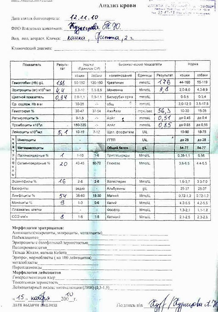 Анализ на аллергию у ребенка до года, 2 года: норма, расшифровка, как сдавать