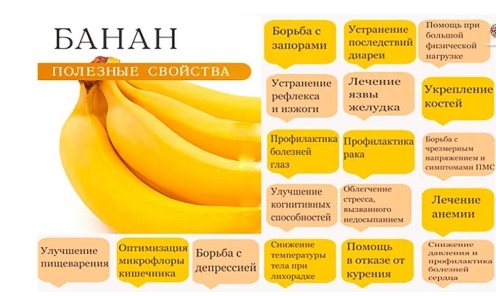 Можно ли бананы при грудном вскармливании новорожденного | бананы в период кормления грудью: можно ли кушать и сколько