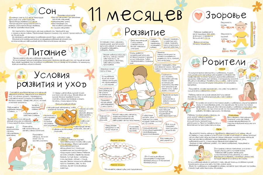 Что умеет девочка в 10 месяцев. Что должен уметь ребёнок в 11 месяцев. Развиваем ребенка 11 месяцев. Ребёнок в 11 месяцев развитие что должен уметь. Календарь развития ребенка до года по месяцам.