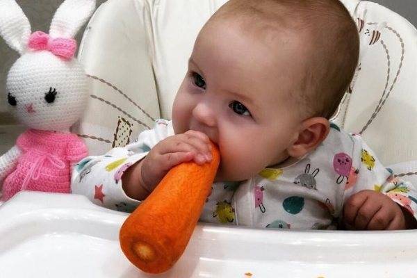 Когда вводить и как готовить морковь для грудничка