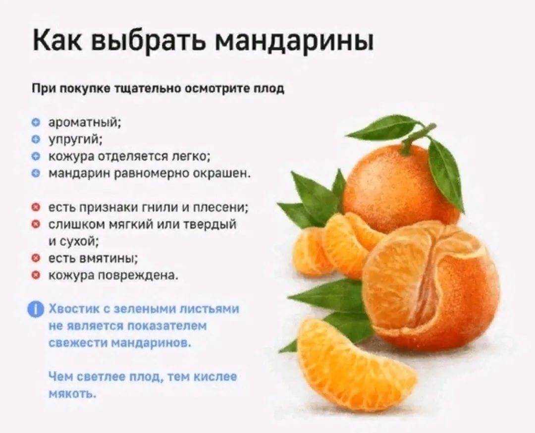 В каком возрасте можно давать ребенку апельсин