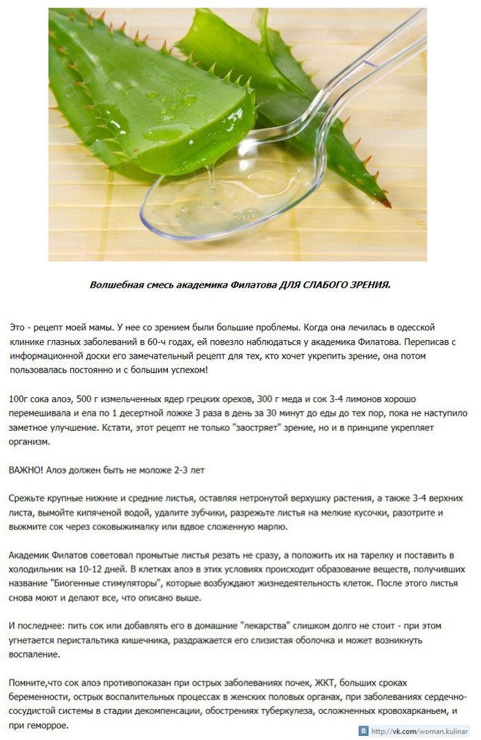 Алоэ от насморка у детей
