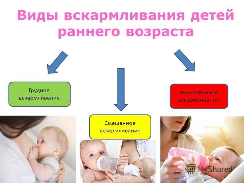 Совместимы ли молоко и смесь