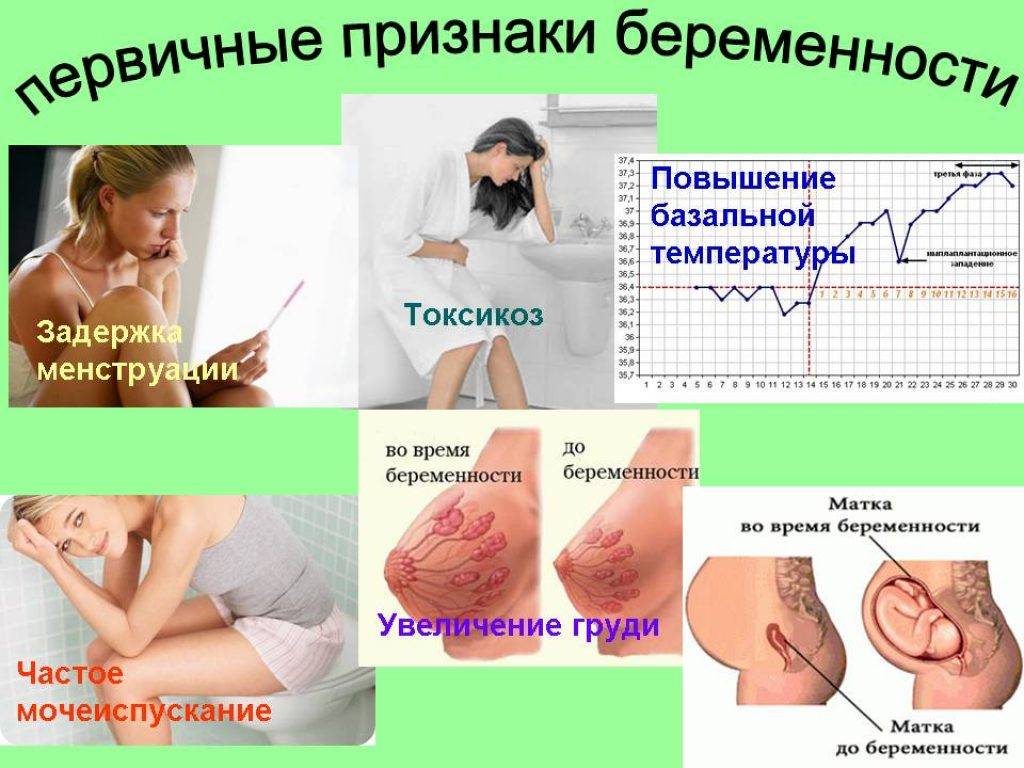 Когда, на какой день после зачатия проявляются первые признаки беременности?