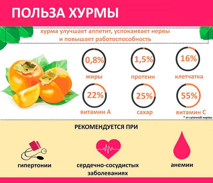 С какого возраста ребенку можно давать хурму? чем полезна хурма? вызывает ли хурма аллергию у детей